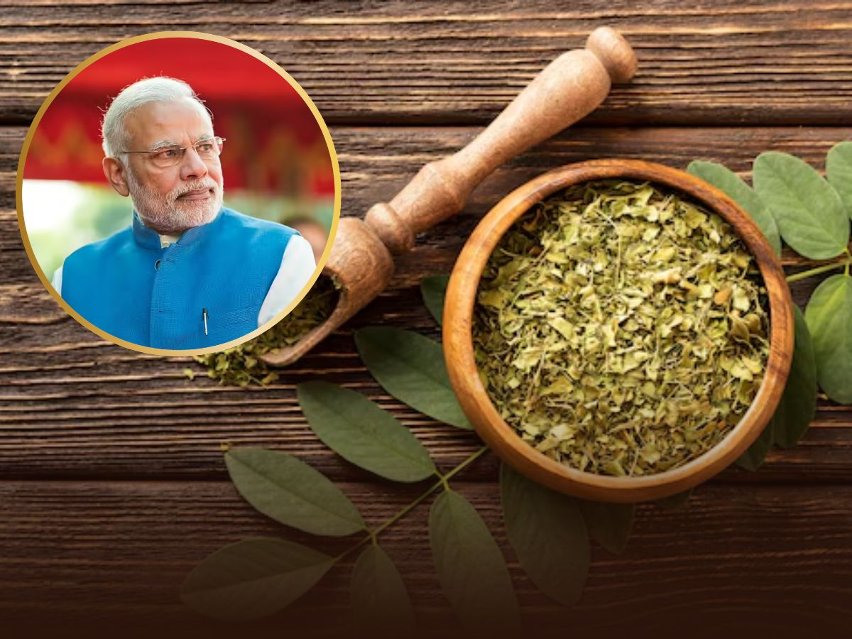 पीएम मोदी को भी पसंद है ये सुपरफूड, डायबिटीज से लेकर पाचन के लिए राममबाण
