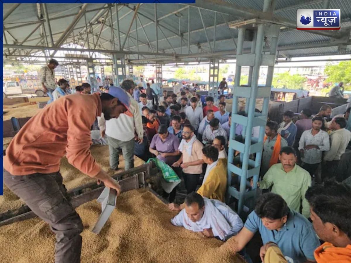 AI ने गेहूं की फसल को चना, सरसों, टमाटर…मध्य प्रदेश में सरकारी रिकॉर्ड किसानों के लिए बनी मुसीबत