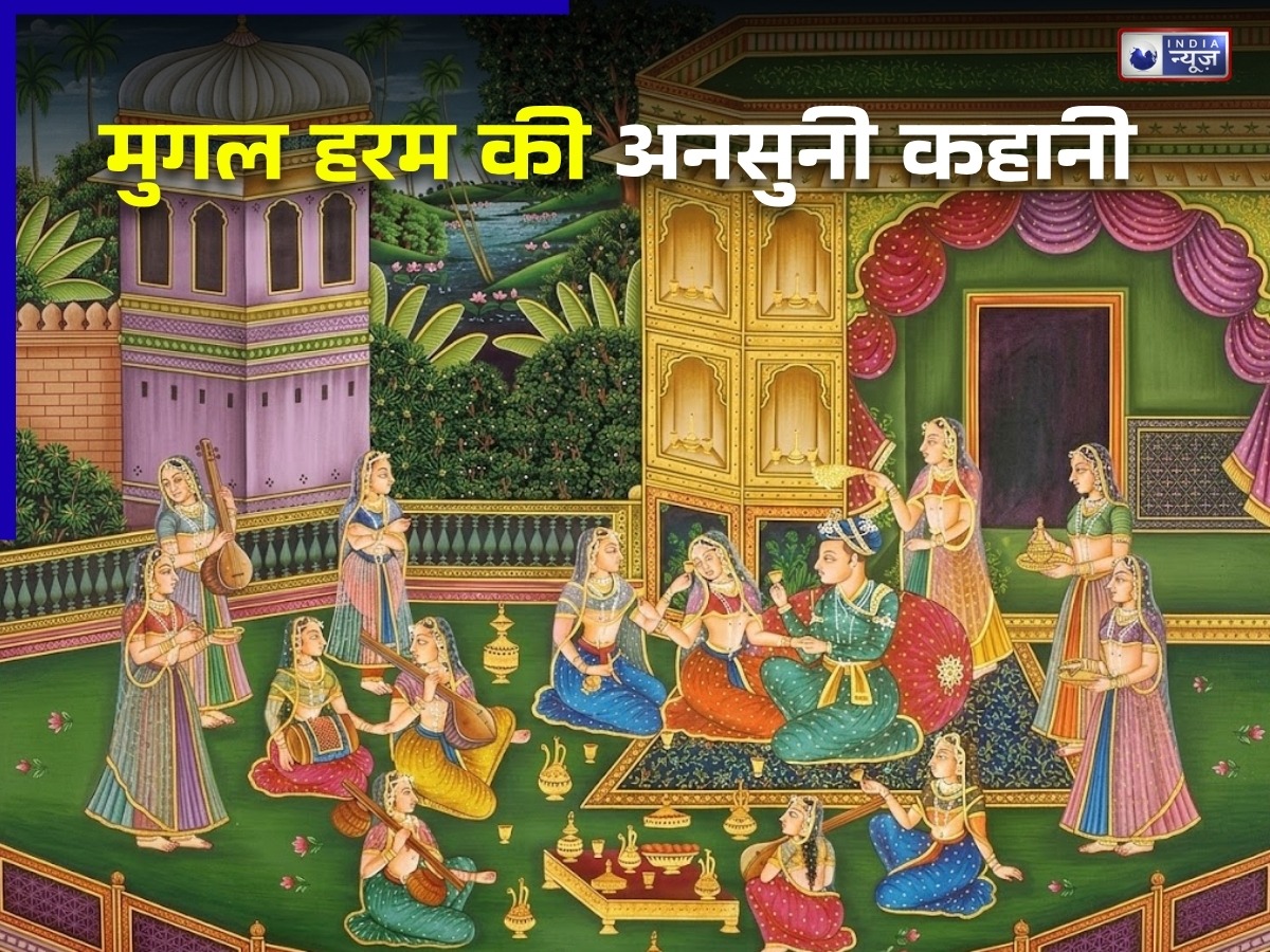 क्या मुगल हरम में होता था ये सब? सिर्फ बादशाह नहीं, और भी लोग बनाते थे संबंध, इसके पीछे की सच्चाई कर देगी हैरान