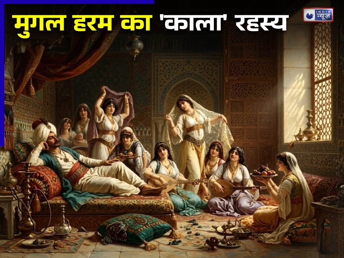 मुगल हरम की सच्चाई सुनकर उड़ जाएंगे होश! नौकरानियों से करवाए जाते थे ऐसे काम, जो आप सोच भी नहीं सकते