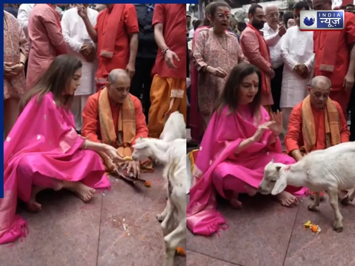 चमकी बकरियों और कबूतरों की किस्मत, कामाख्या मंदिर से नीता अंबानी का बड़ा एलान; वीडियो वायरल