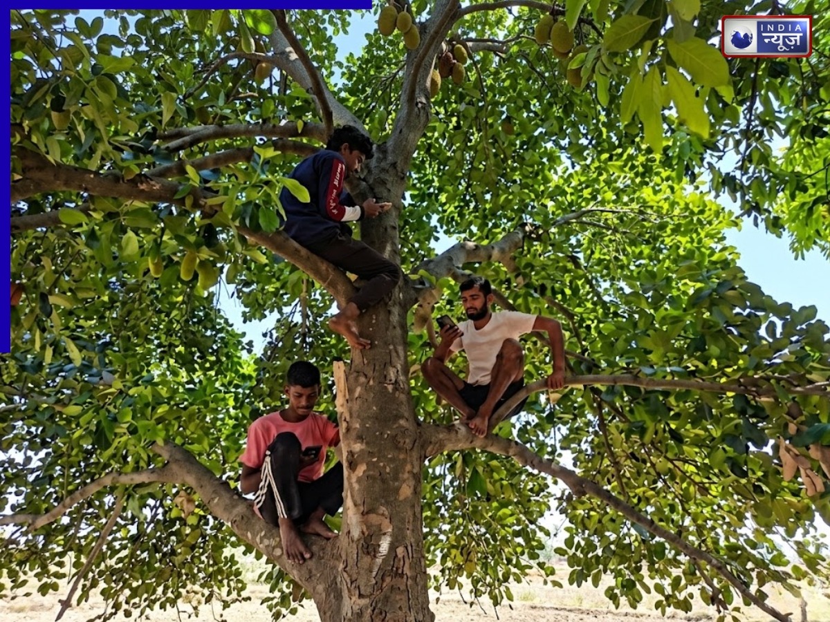 पेड़ पर चढ़कर कॉल, पहाड़ पर हाजिरी… इस जगह पर आज भी नहीं पहुंच पाया नेटवर्क