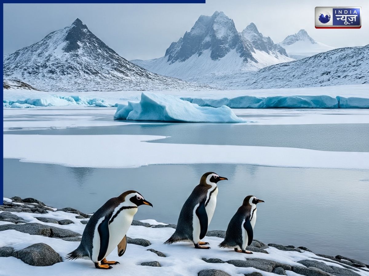 'Northeast Greenland National Park' is home to rare and unique wildlife. - Photo Gallery