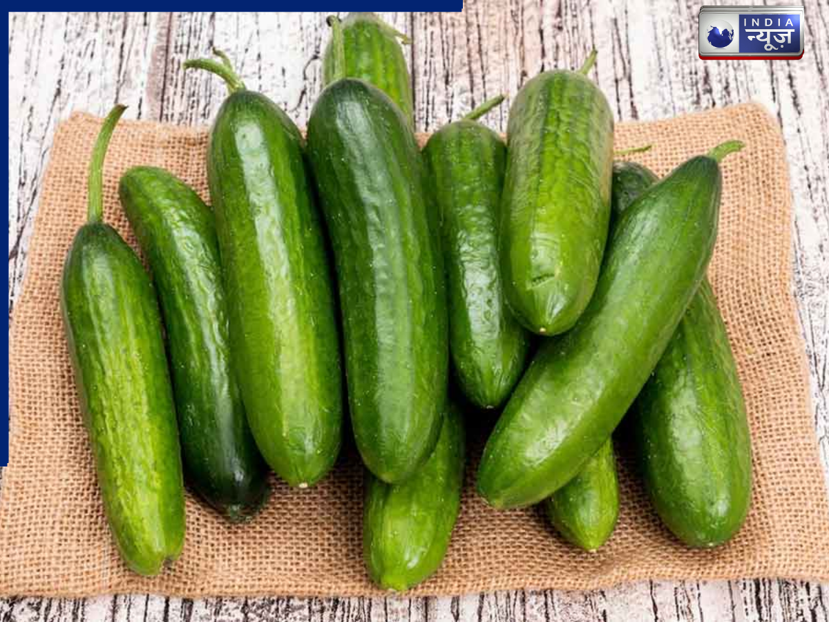Nutrients in Cucumber Peels - Photo Gallery