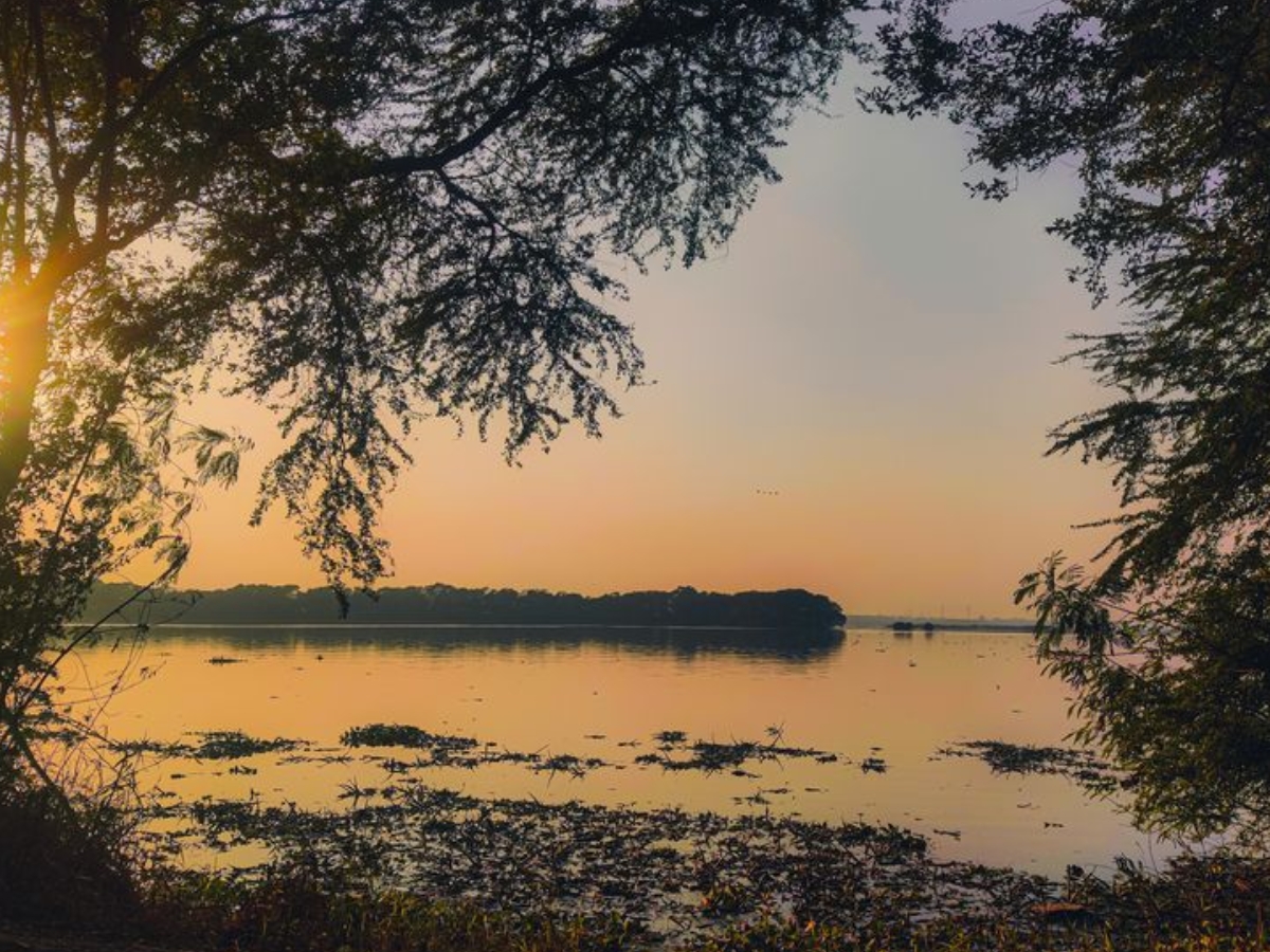 Okhla Bird Sanctuary - Photo Gallery