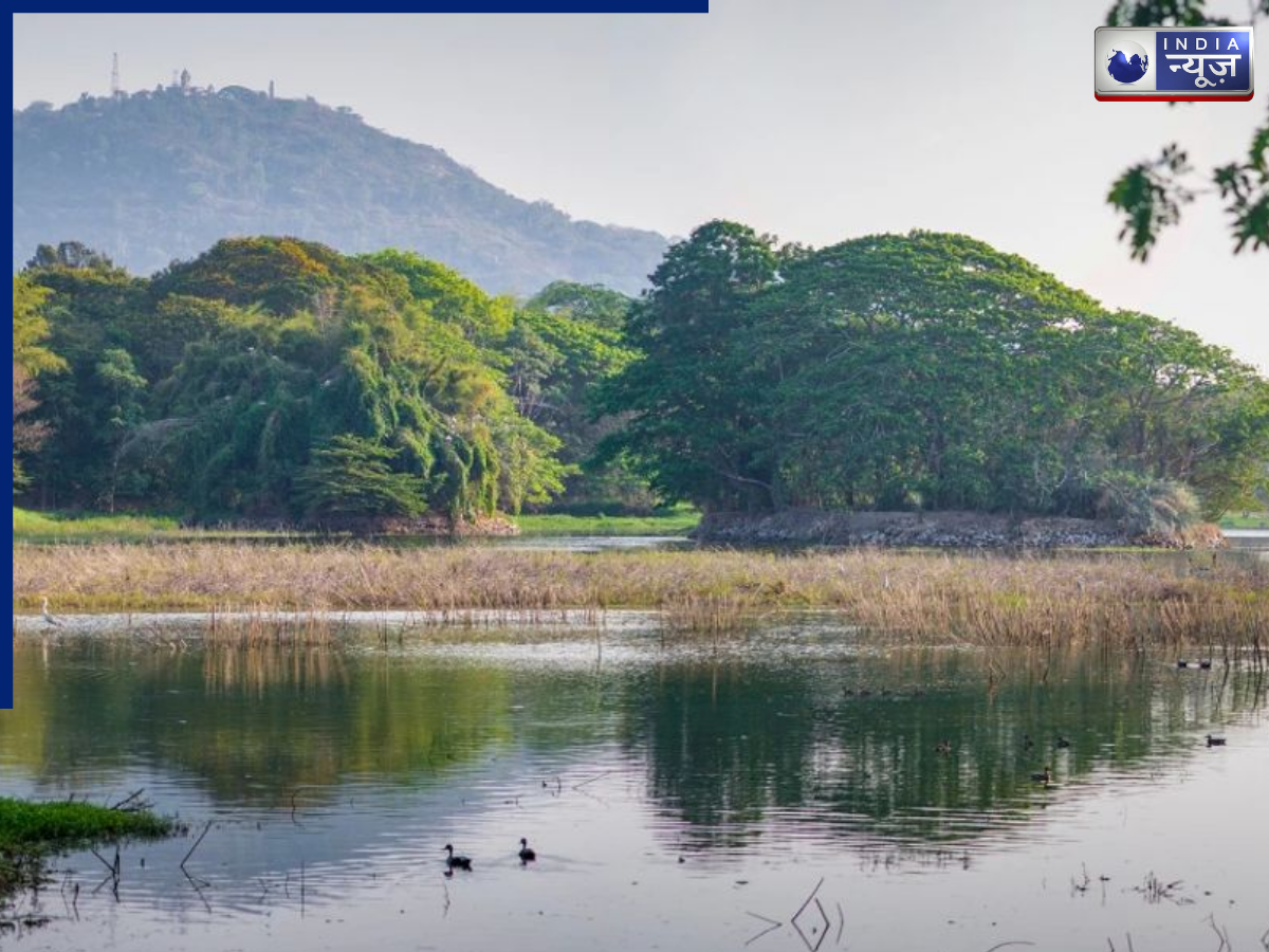 Okhla Bird Sanctuary - Photo Gallery