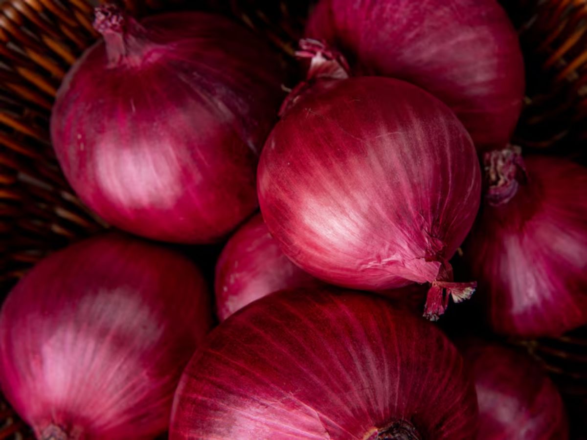 Onion Storage Tips: जल्दी सड़ जाते हैं प्याज, तो घर में ऐसे रखें.. किसानों ने दी टिप्स
