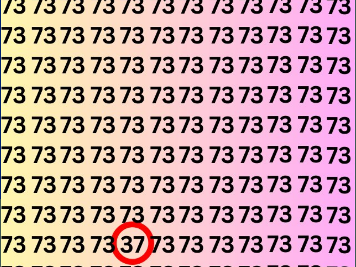 optical illusion 3 optical illusion 3