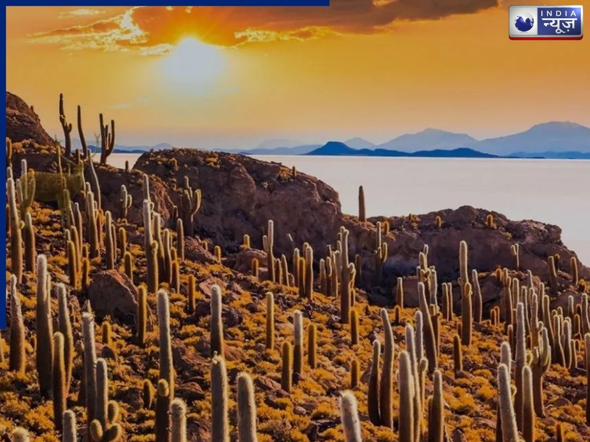 क्या आप 15 सेकंड में ढूंढ पाएंगे तस्वीर में छिपा हिरण? तेज नजर वालों के लिए भी है मुश्किल!