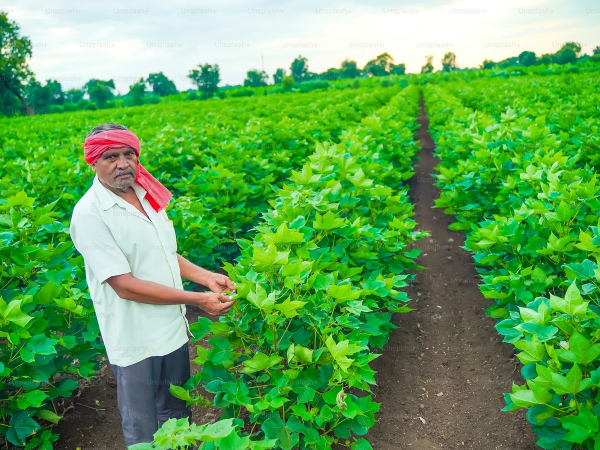 PM Kisan 23rd Installment:  इस एक गलती से नहीं मिलेगी आपको पीएम किसान की 23वीं किस्त, अभी कर लें ये काम पूरा