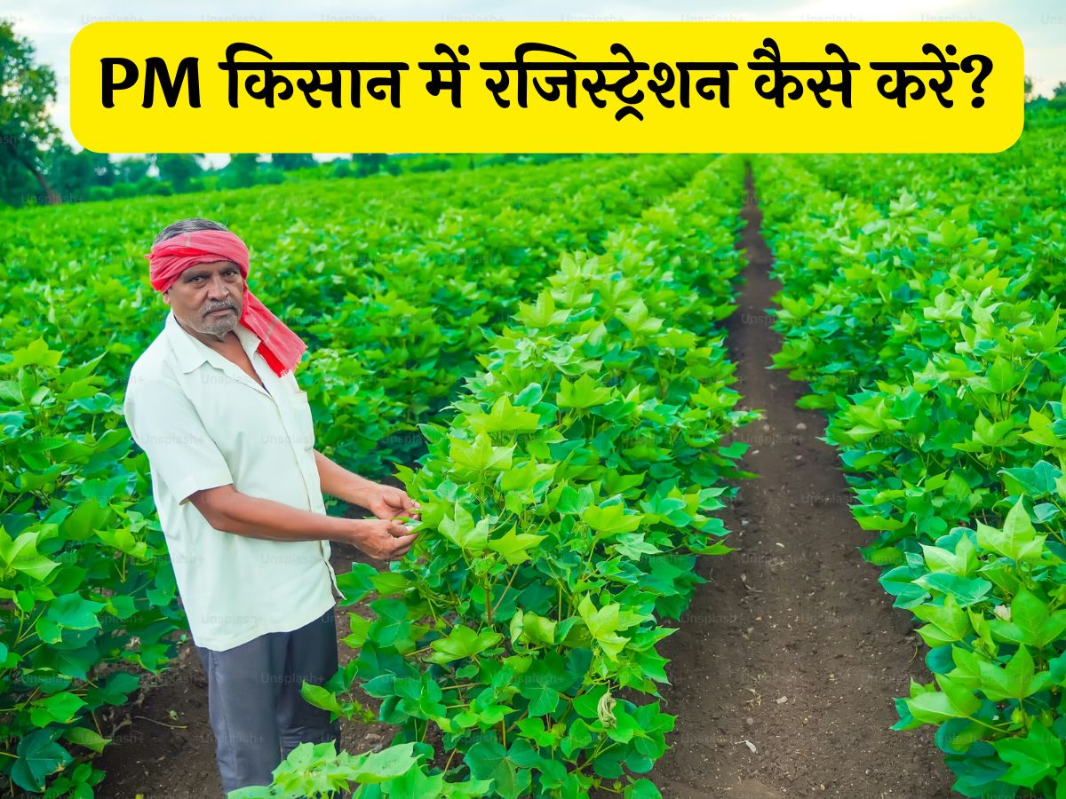 PM Kisan Registration: अगर चुटकियों में चाहिए 6,000 तो किसान करें ये काम, जानें क्या है रजिस्ट्रेशन करने का तरीका