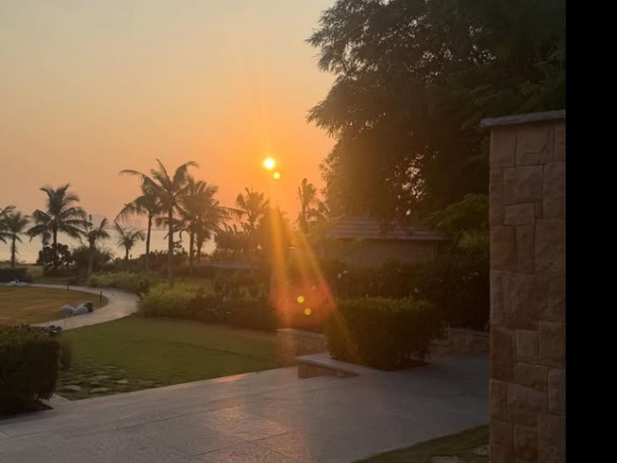 sunset vibes - Photo Gallery