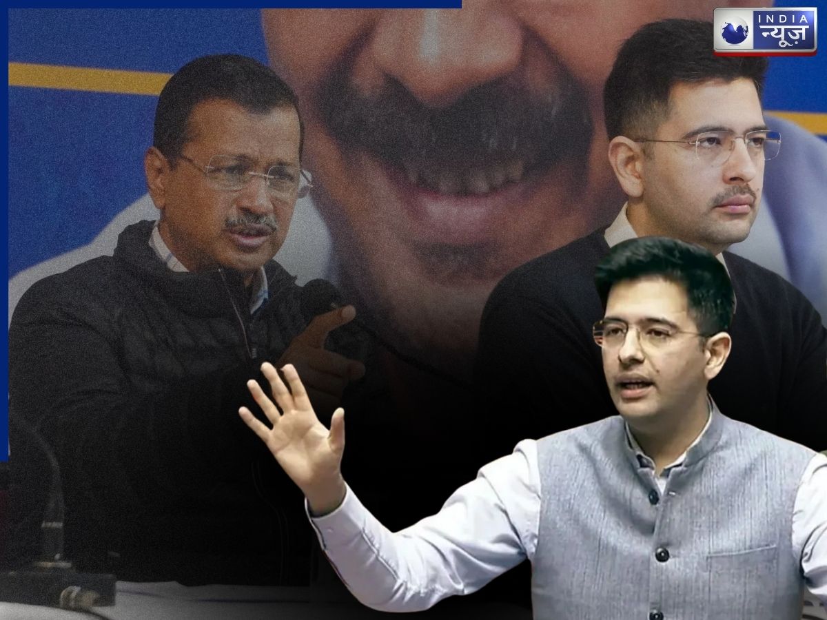 ‘खामोश करवाया गया हूं, हारा नहीं हूं…’, राघव चड्ढा ने AAP को लेकर क्या कहा?