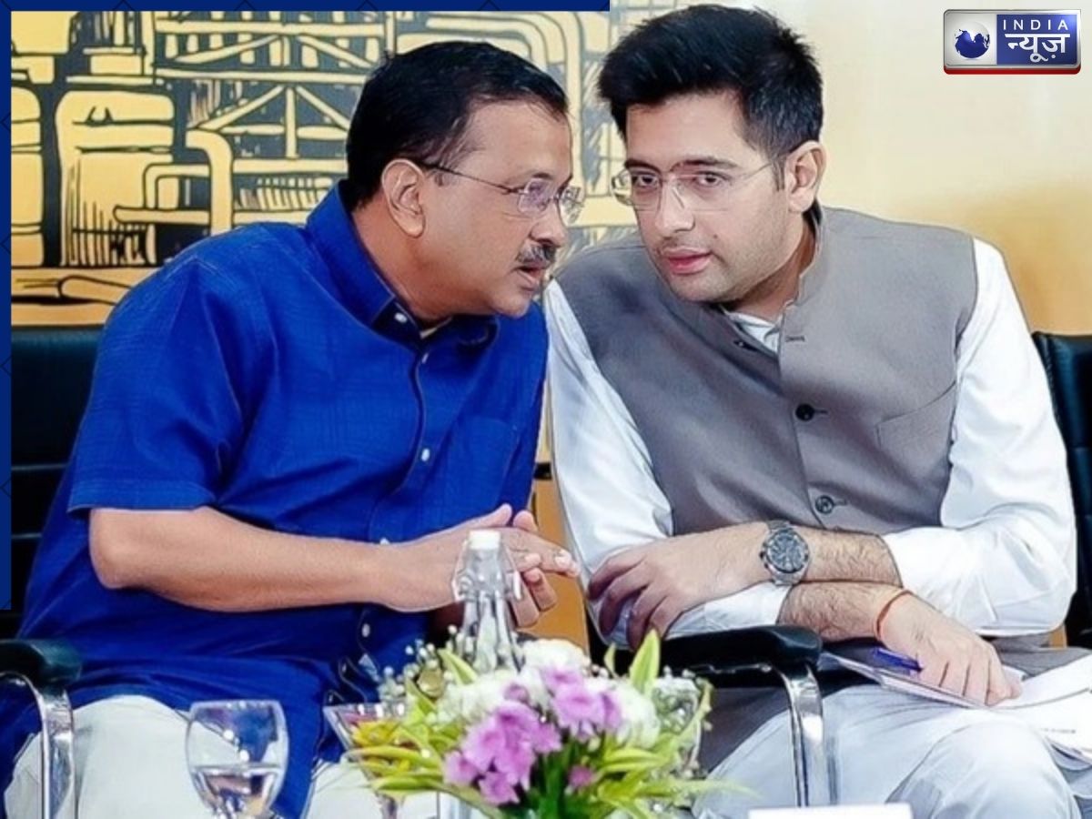 दिल्ली के 22 ‘आप’ विधायक भी जाएंगे राघव चड्ढा के साथ? क्यों उठ रहे ये सवाल, समझिए पूरा मामला