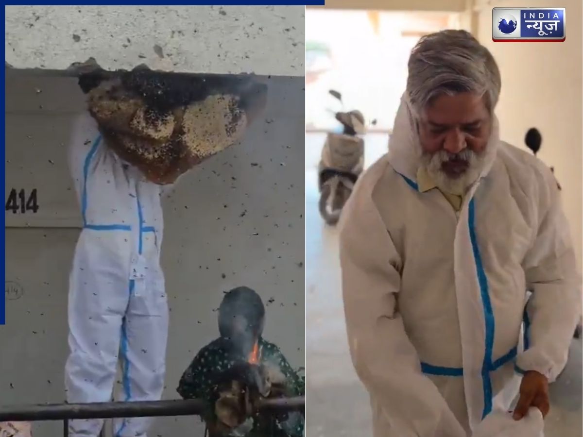 Video: मेडिकल कॉलेज के प्रिंसिपल ने पहनी पीपीई किट, 5 घंटे के बाद हटाए मधुमक्खियों के 7 छत्ते