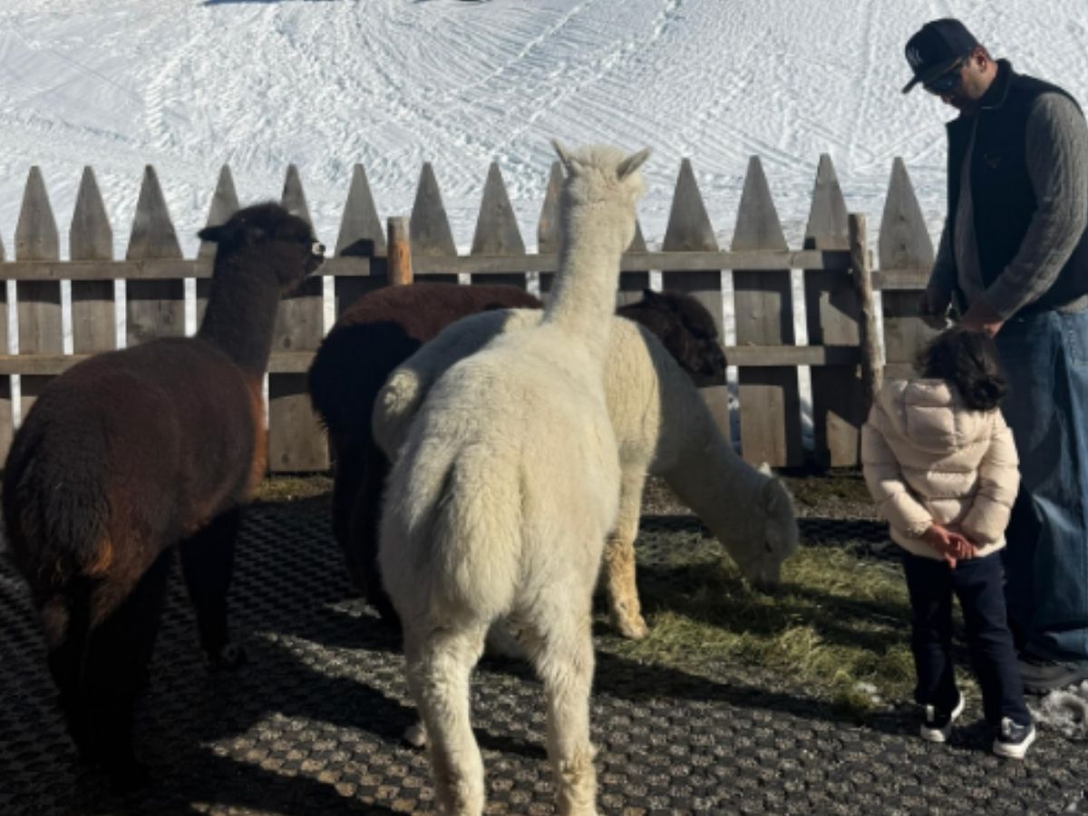 alia and ranbir - Photo Gallery