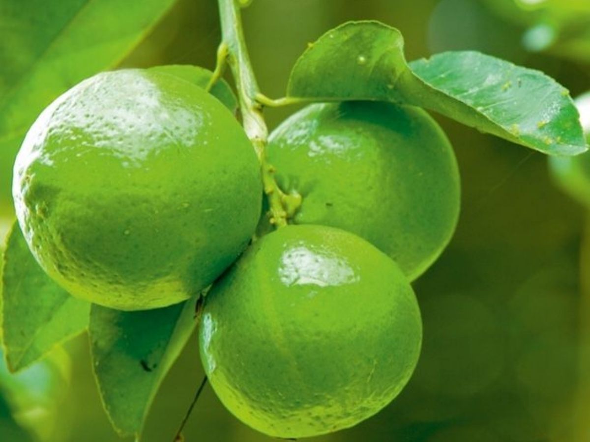 The body stays hydrated - Photo Gallery