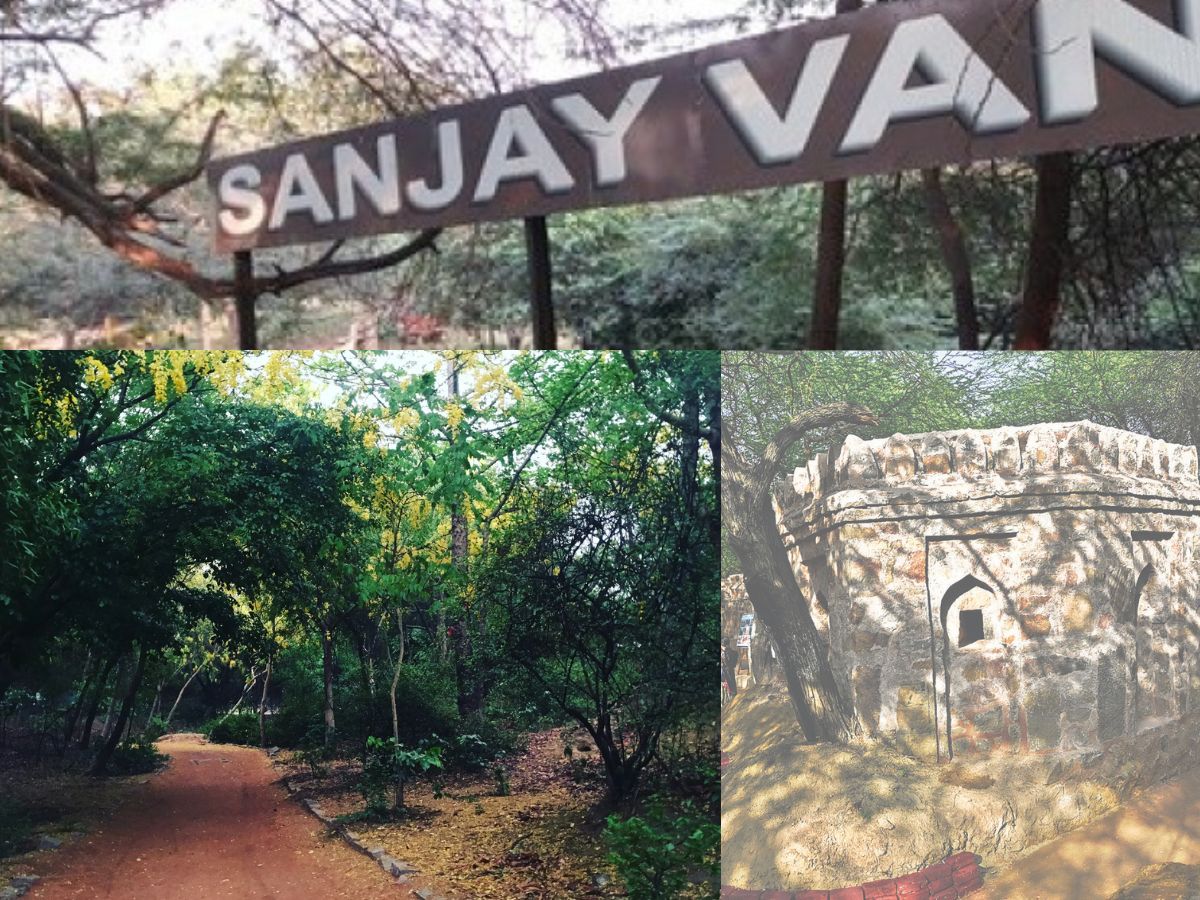 Sanjay Van - Photo Gallery