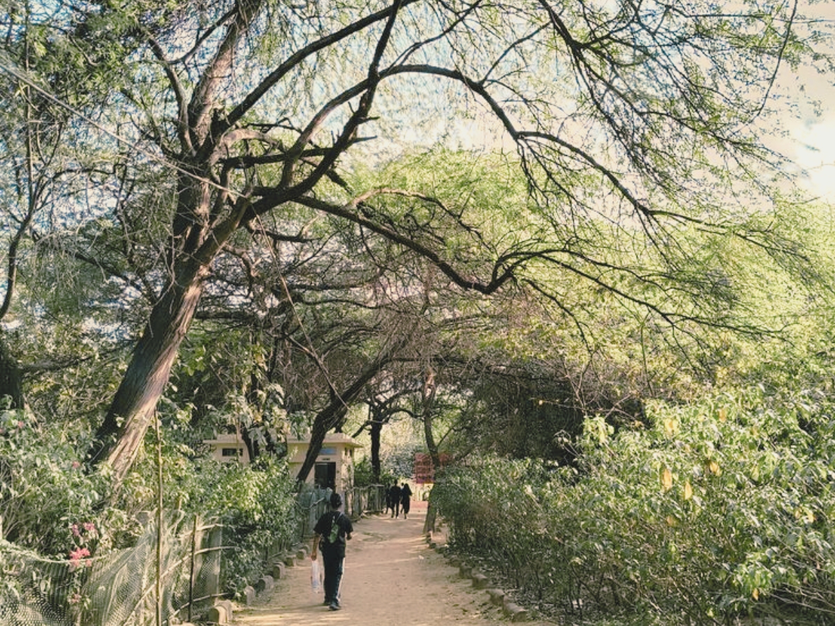 Sanjay Van - Photo Gallery