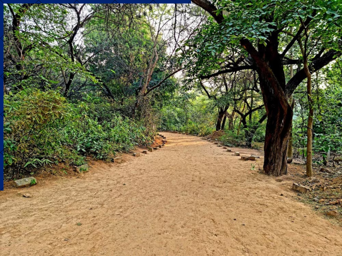 Sanjay Van - Photo Gallery