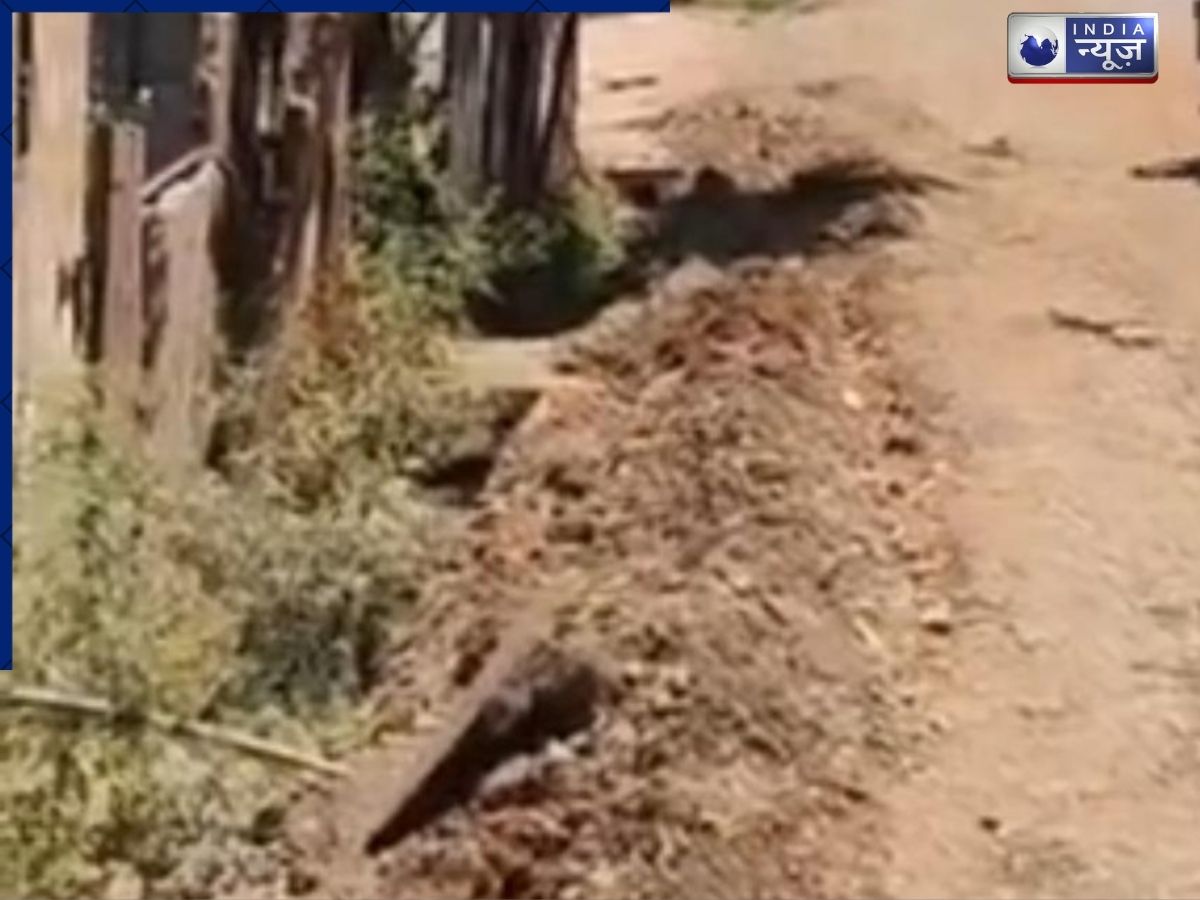 MP: शिवपुरी में सड़क की खुदाई पर विवाद, ठेकेदार पर लगा गंभीर आरोप आरोप, पार्षद ने उठाए सवाल - Photo Gallery