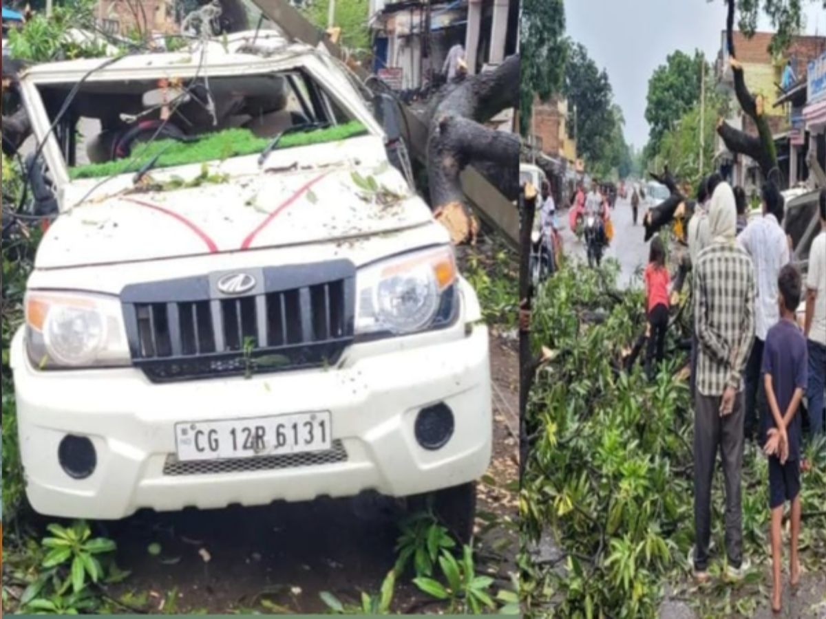 Sidhi News: तेज आंधी का कहर, आम का विशाल पेड़ गिरा, बोलेरो-बाइक चकनाचूर, कैसे टला बड़ा हादसा?