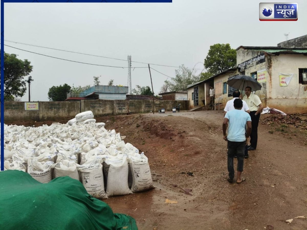 Sidhi News: सीधी में आंधी-बारिश में भीगा गेहूं, कलेक्टर ने किया औचक निरीक्षण, लापरवाही पर चौफाल प्रभारी निलंबित