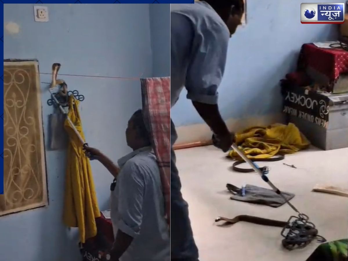 हैंगर पर फन फैलाए बैठा था सांप, परिवार वालों की अटक गई सांसें; मुंह को आ गया कलेजा