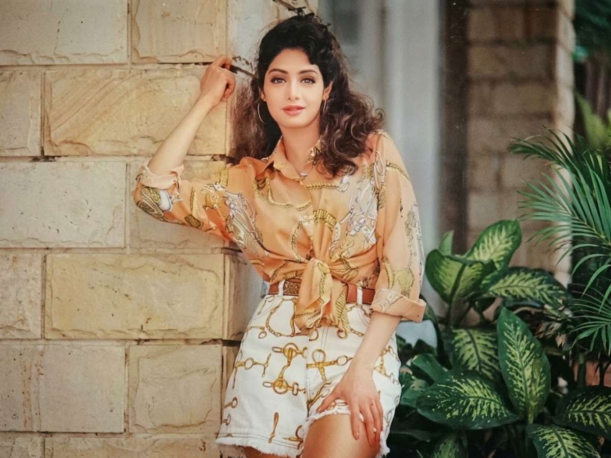 Sridevi and boney kapoor - Photo Gallery