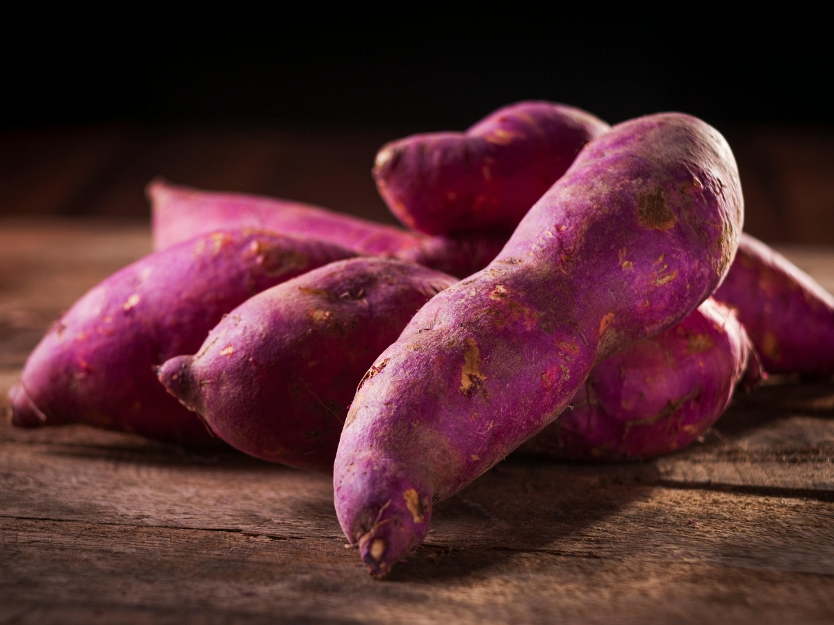 sweet potato - Photo Gallery