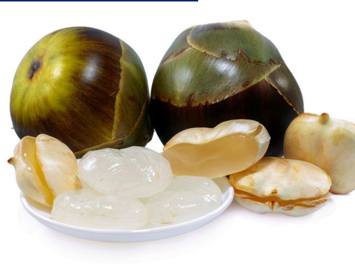 tadgola - Photo Gallery