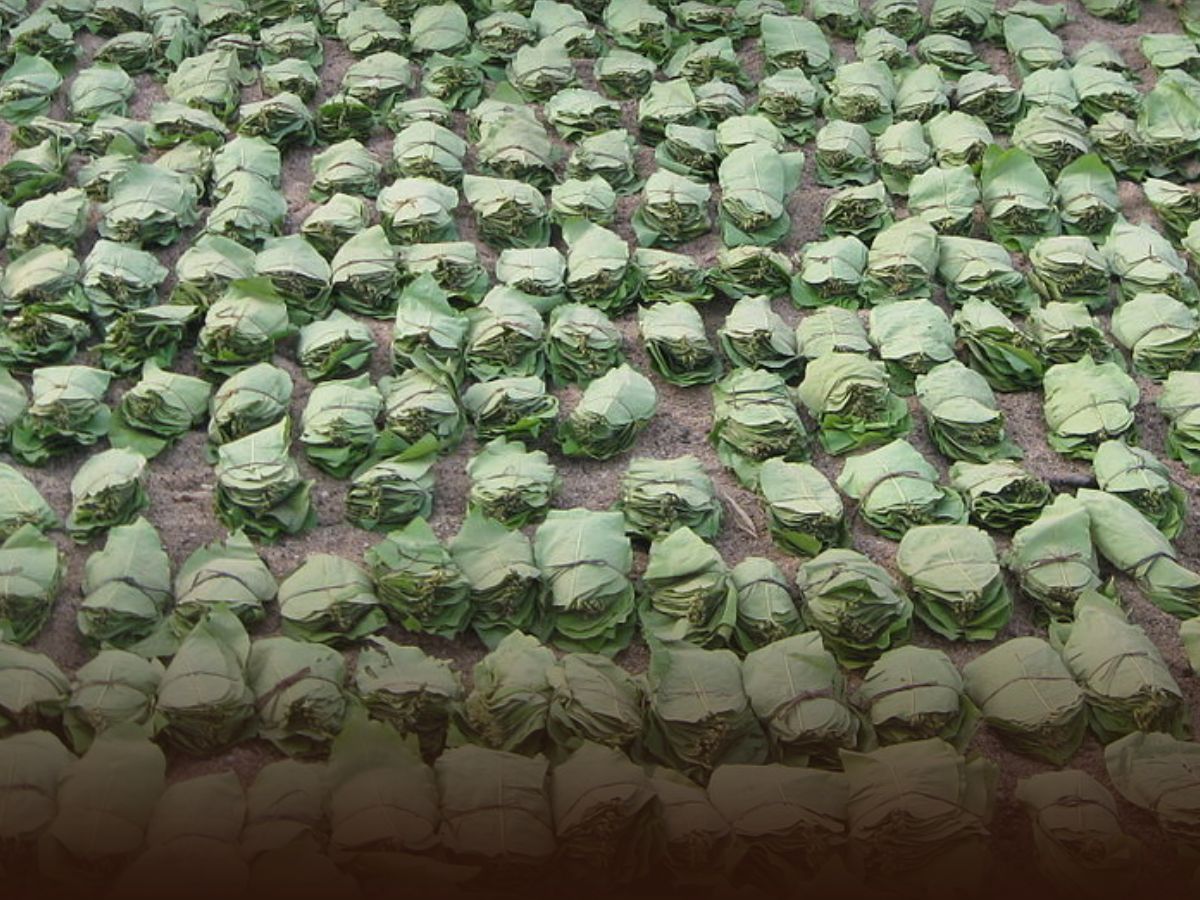 In which states is production done? - Photo Gallery