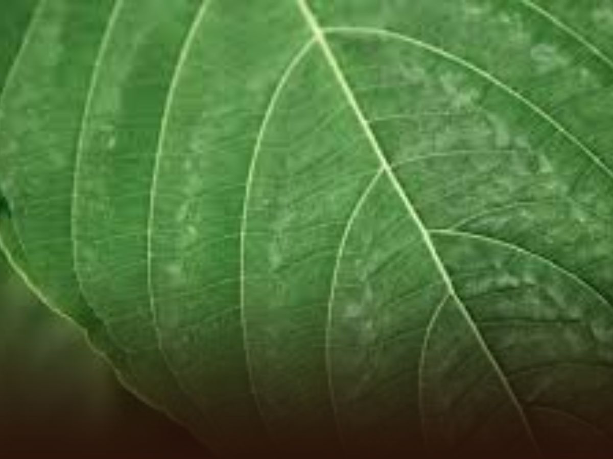 employment of millions of people - Photo Gallery