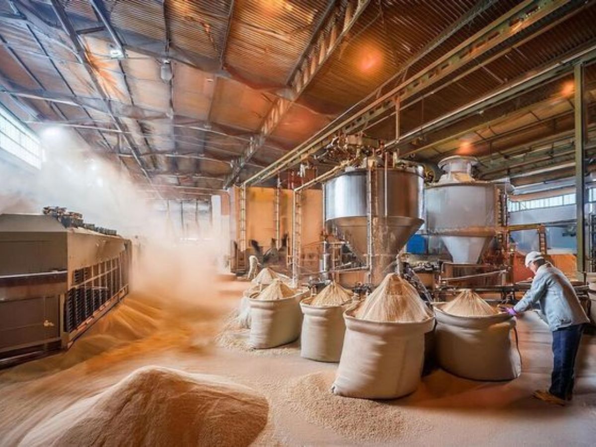 Flour Mill Business - Photo Gallery