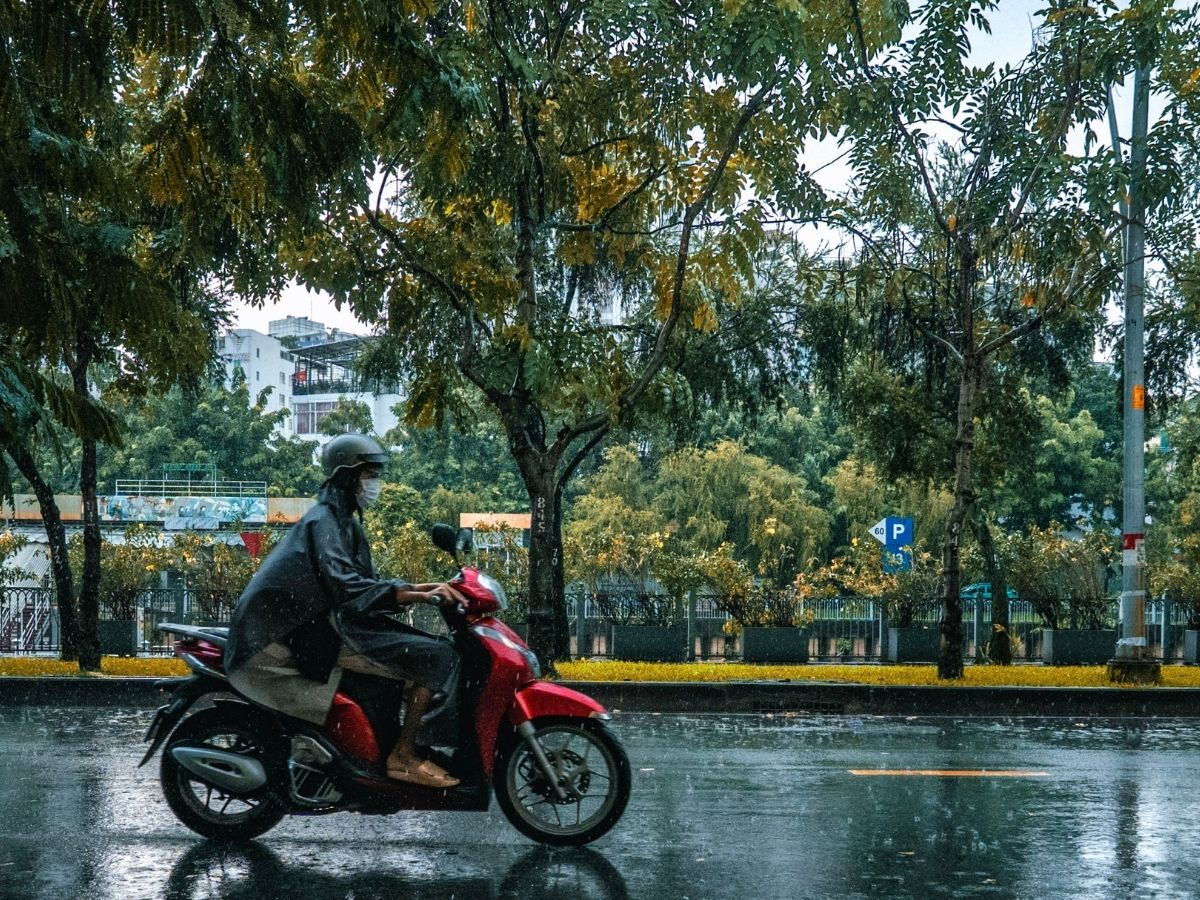 Rain Alert - Photo Gallery