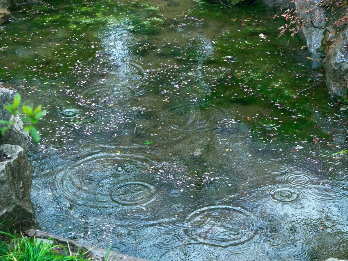 aaj ka mausam - Photo Gallery