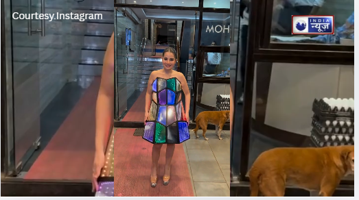 Urfi Javed की ‘इन्फिनिटी मिरर’ ड्रेस ने सोशल मीडिया पर तोड़े सारे रिकॉर्ड, ड्रेस में लगे कांच के पीछे छिपा है गहरा राज?