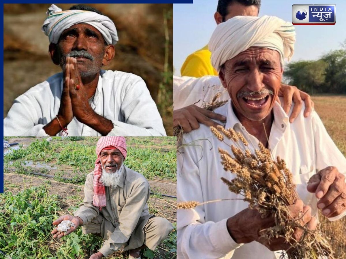 Nainital Weather: किसानों का हुआ सब बर्बाद! नैनीताल में बारिश-ओलावृष्टि ने मचाई ऐसी तबाही, 70% फसल हुई नष्ट