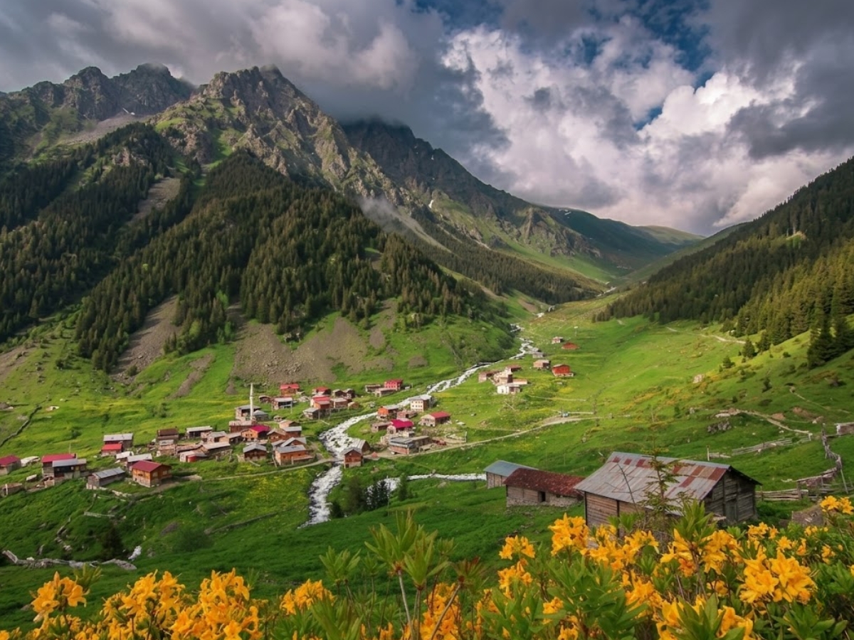 Valley Of Flowers Trek - Photo Gallery