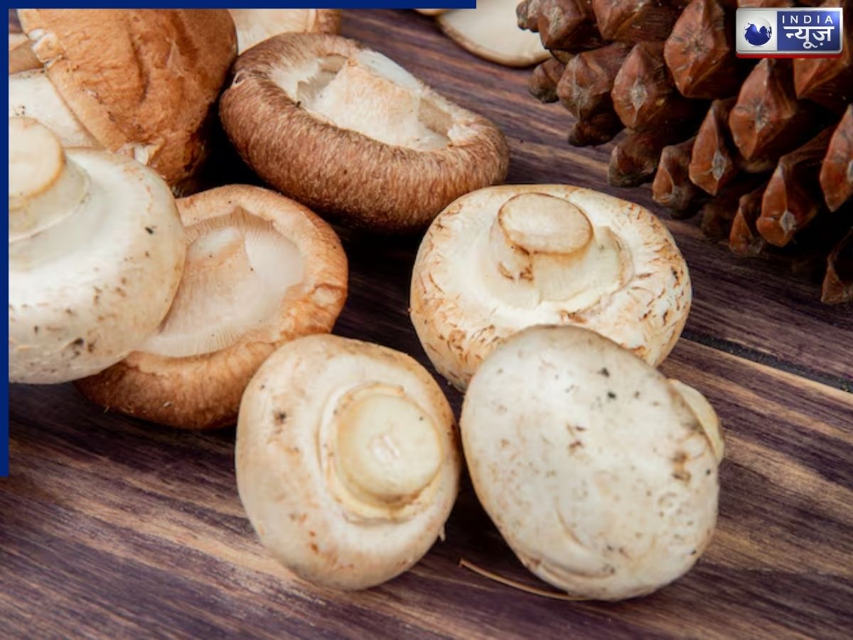 Mushrooms exposed to UV light contain significantly higher levels of Vitamin D. - Photo Gallery