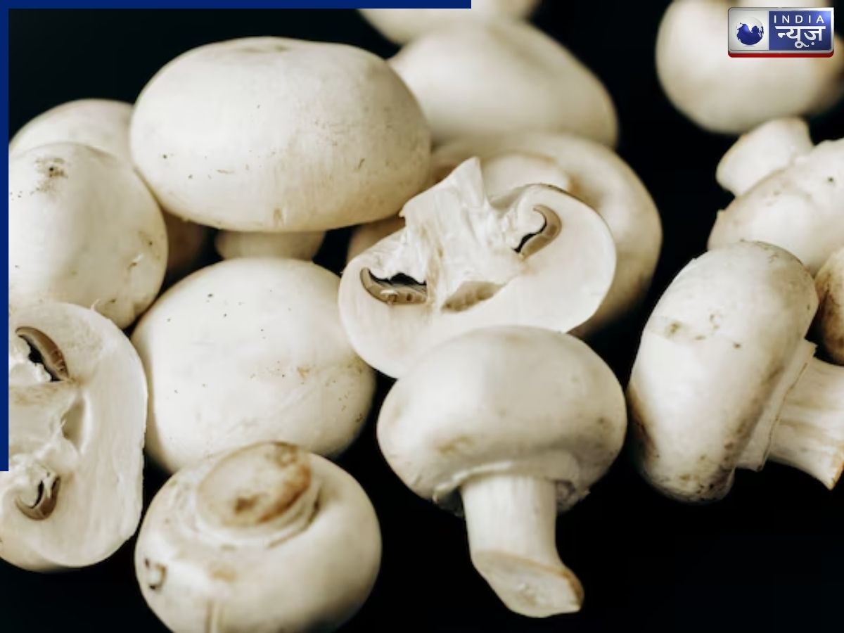 Mushrooms are an excellent source of Vitamin D for vegetarians. - Photo Gallery