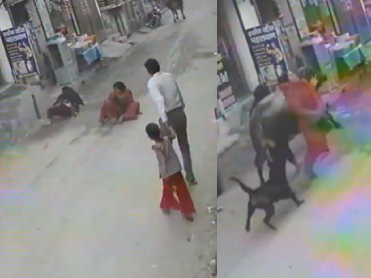 Accident हो गया रब्बा रब्बा! सांड ने ठोकी दो आंटियां; Viral Video देख होने लगेगा दर्द