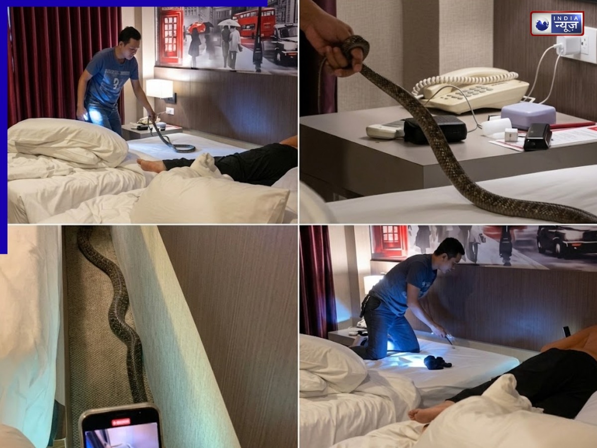 थाईलैंड में कपल के साथ हुआ बड़ा हादसा,  दंपति के बिस्तर पर पहुंचा किंग कोबरा! वीडियो वायरल