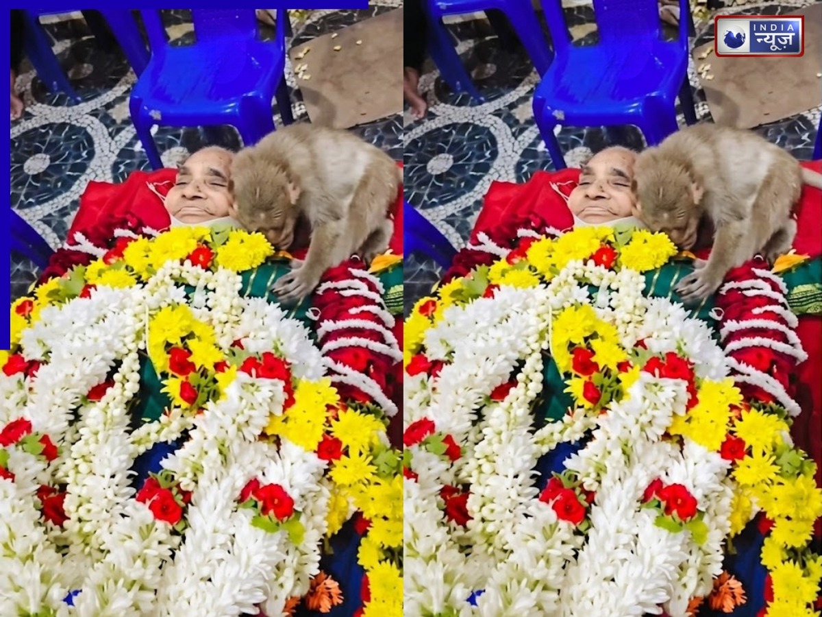 अंतिम संस्कार में पहुंचे बंदर, महिला को लगे लगाकर रोए, देखकर भावुक हुए लोग