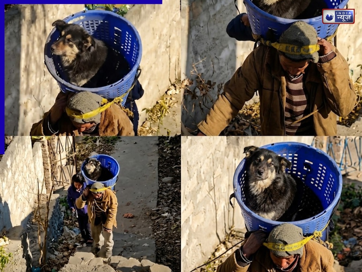 मानवता की मिसाल! घायल कुत्ते को बास्केट में ढोकर की चढ़ाई, वीडियो वायरल