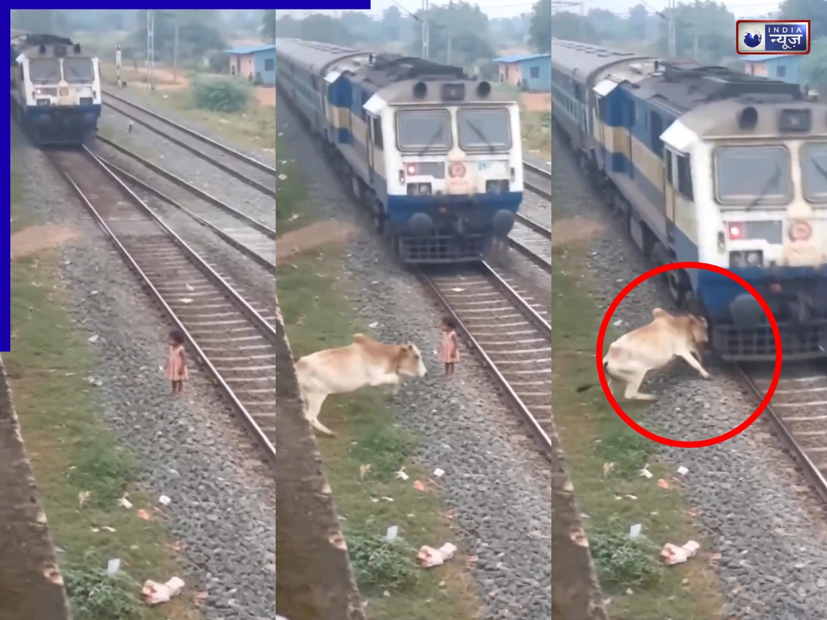सामने से आ रही थी ट्रेन, देवदूत बनकर आई गाय और छोटी बच्ची की बचाई जान, वायरल वीडियो देखकर खड़े हो जायेंगे रोंगटे