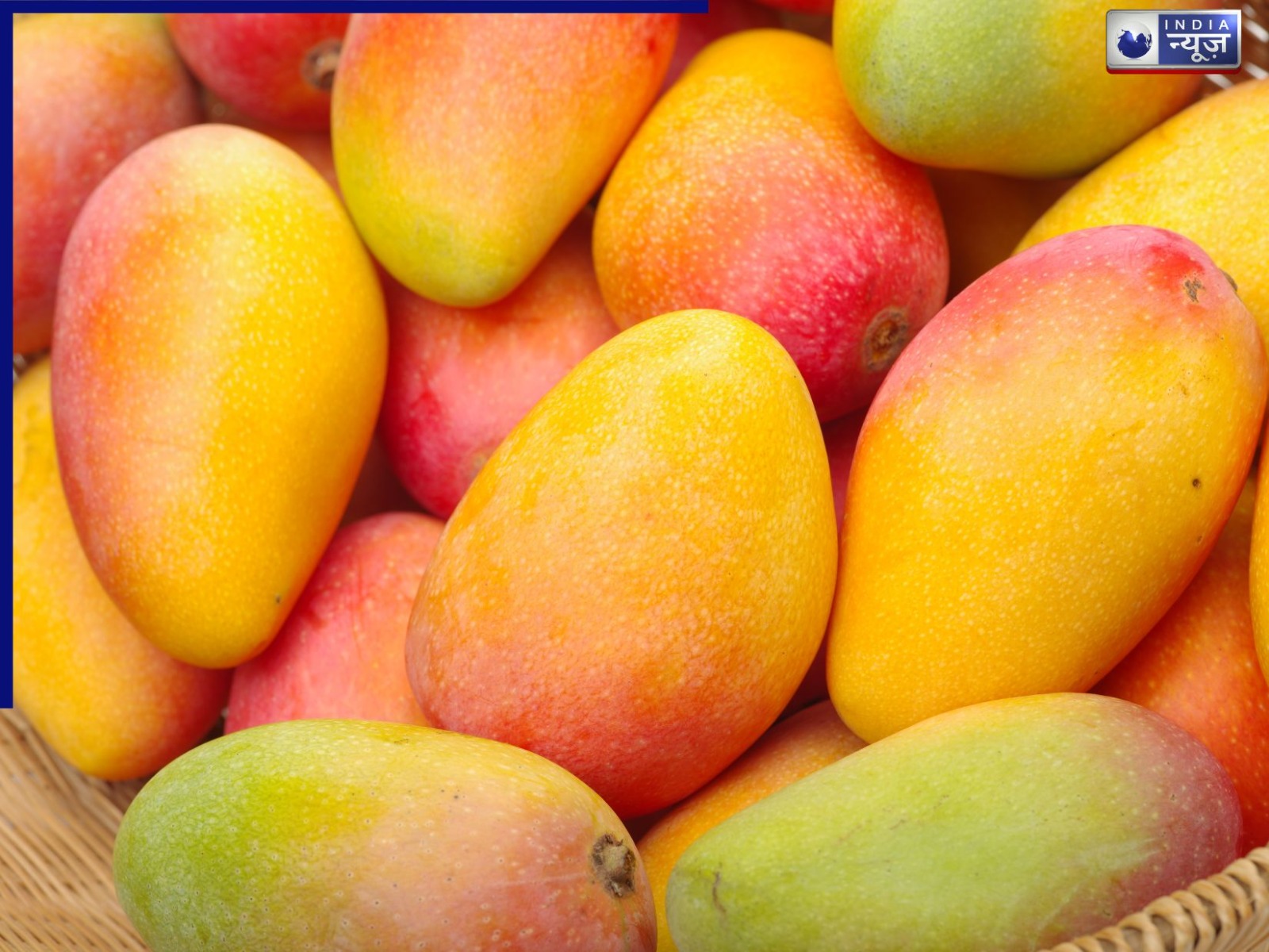Mango Price: फलों के राजा के बढे़ भाव! अचानक अल्फांसो की कीमत में आया उछाल, जानें क्या है अक्षय तृतीया से कनेक्शन?