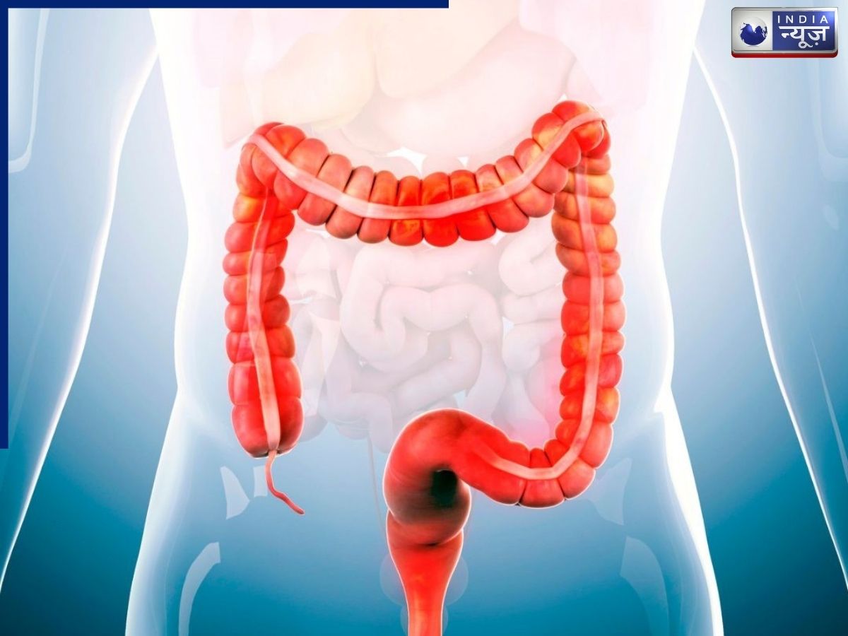 Irritable Bowel Syndrome: IBS के दौरान आंत में बदलाव, क्या है ट्रिगर्स और कारण, कितनी देर रहता है असर
