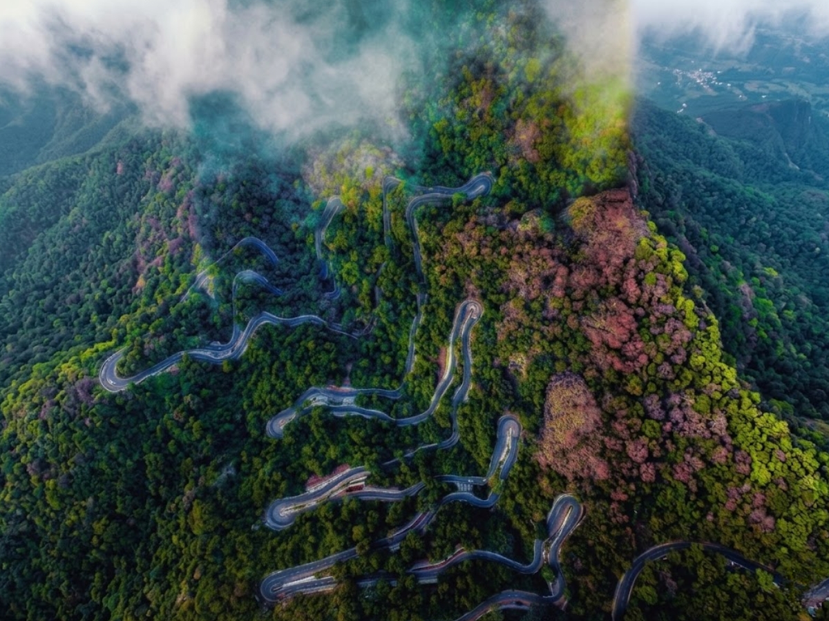 Yercaud - Photo Gallery