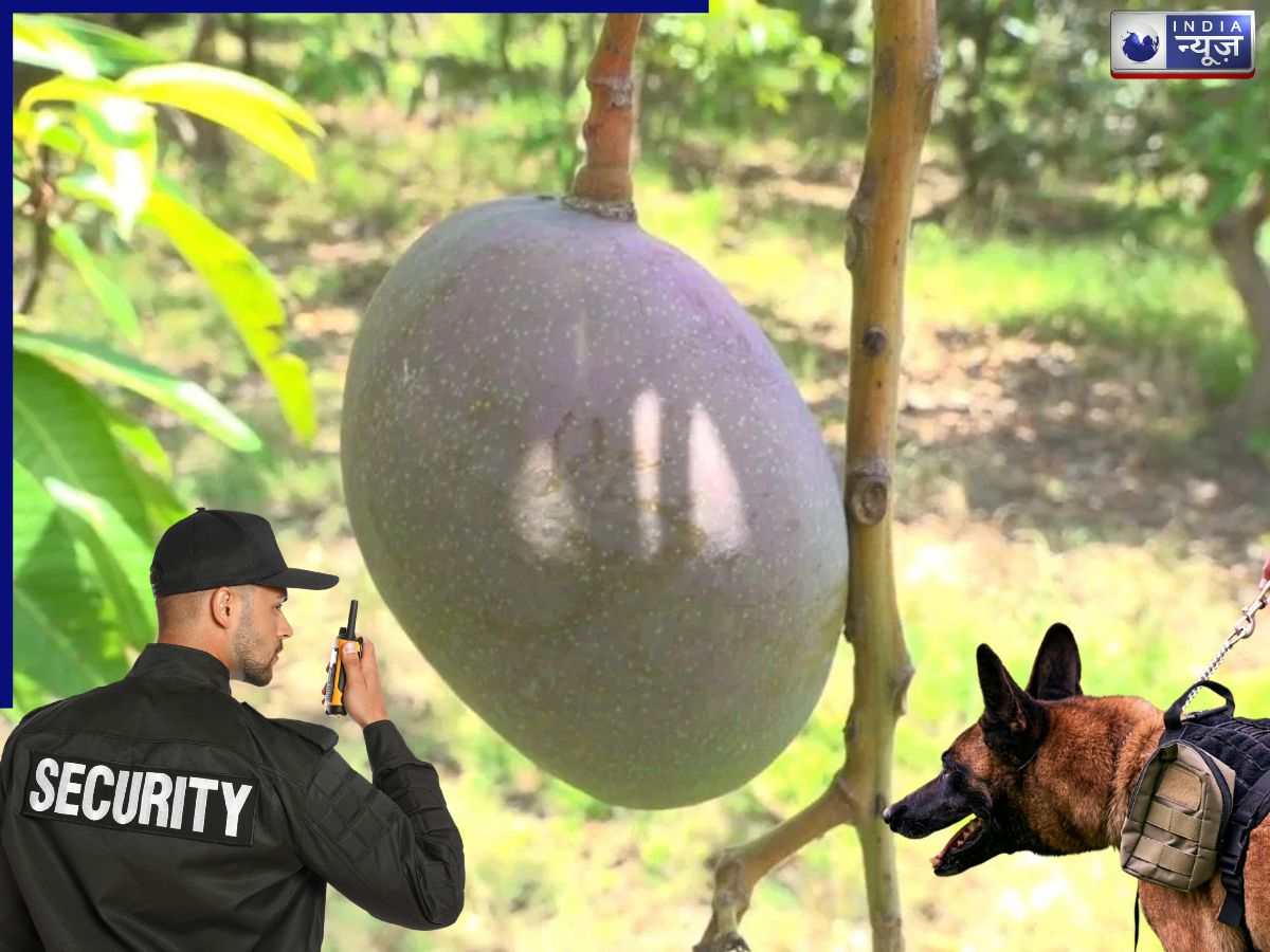 एक आम को क्यों मिली प्रधानमंत्री और राष्ट्रपति जैसी Z+ लेवल की सिक्योरिटी? पीछे की वजह जान रह जाएंगे हैरान